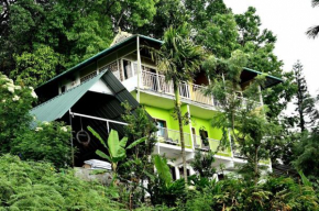 Nature Dale Munnar